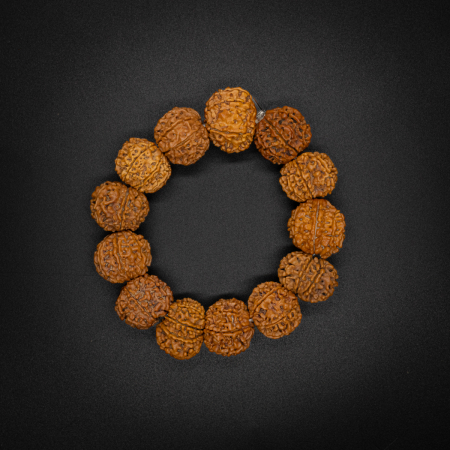 8 Mukhi Rudraksha Bracelet