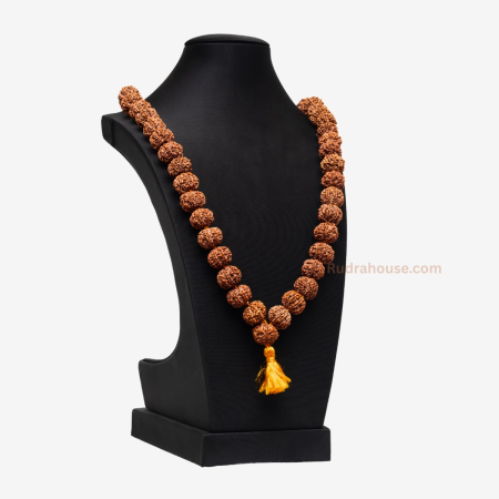 8 Mukhi Rudraksha Kantha