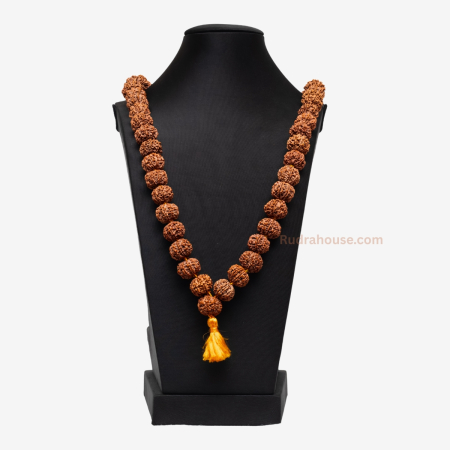 8 Mukhi Rudraksha Kantha