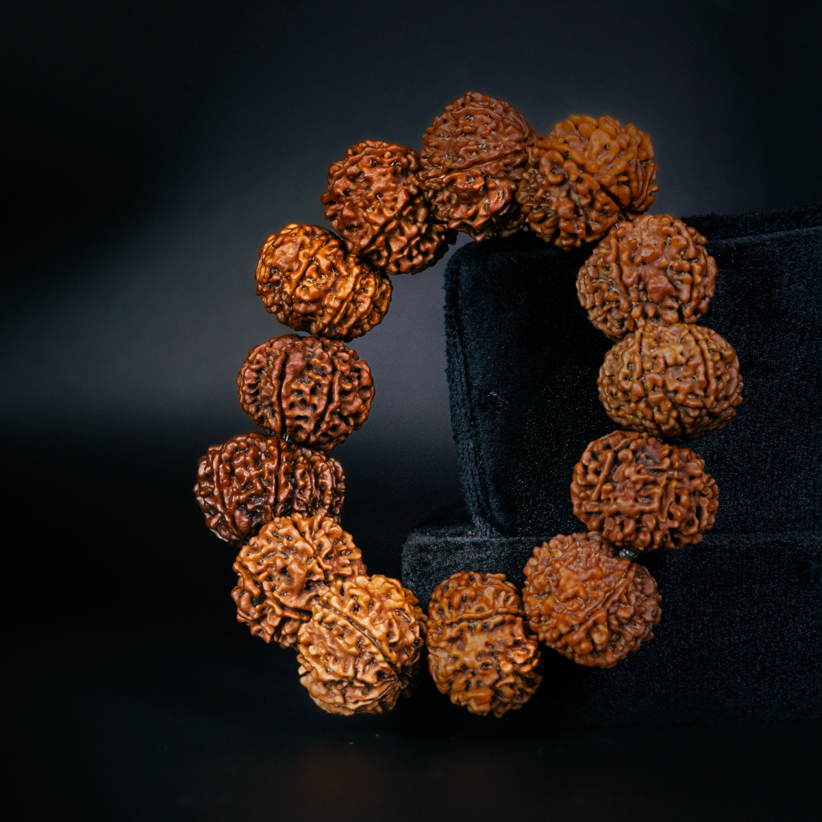 9 Mukhi Rudraksha Bracelet