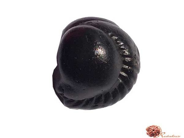 Buddha Shaligram
