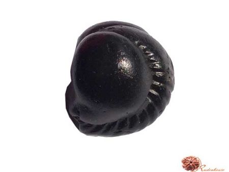 Buddha Shaligram
