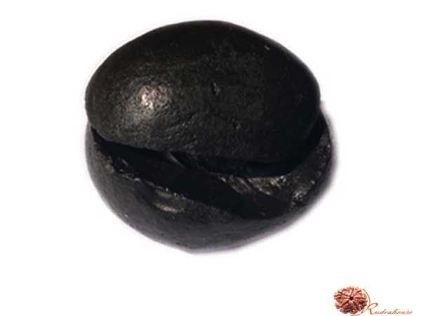 Damodar Kunda Shaligram