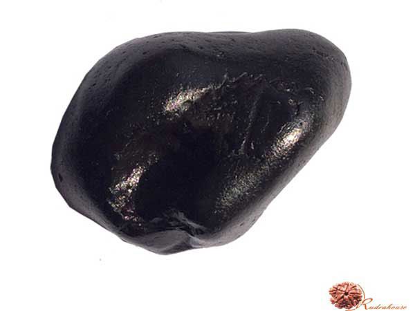 Hrishikesh Shaligram