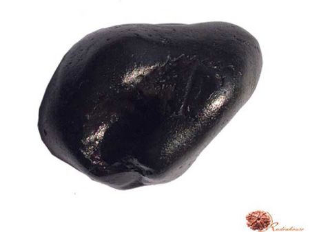 Hrishikesh Shaligram