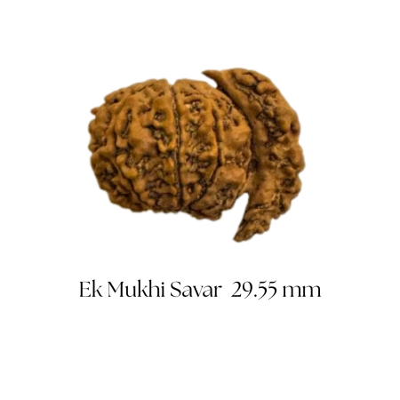 Ek Mukhi Savar