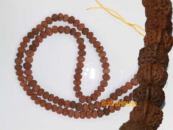 Ganesh Rudraksha Mala