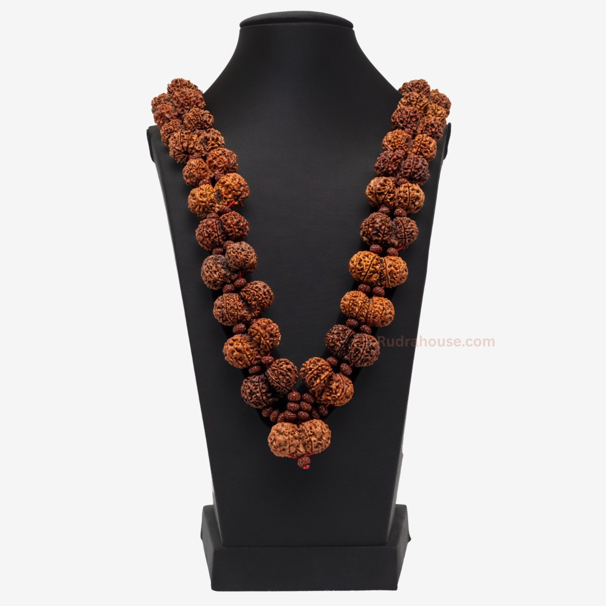 Gauri Shankar Kantha