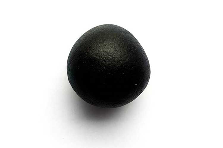 Gopal Shaligram