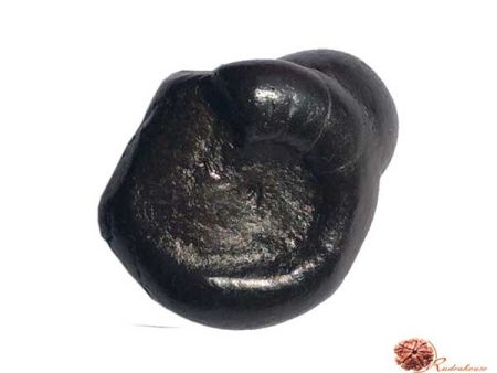 Harihara Shaligram