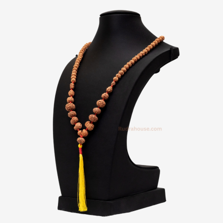 Indra Mala Java Rudraksha Beads