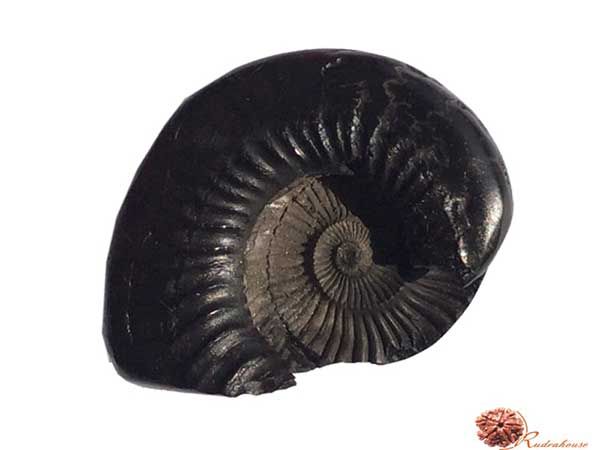 Janardhan Shaligram