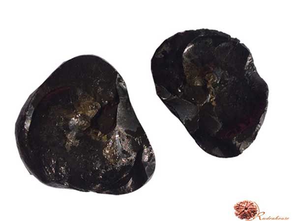 Golden Sudarshan Chakra Shaligram