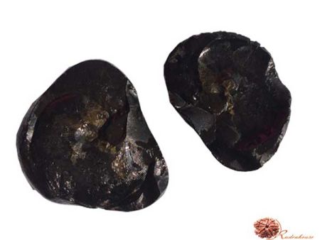 Golden Sudarshan Chakra Shaligram