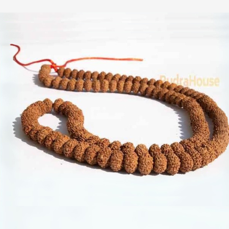 7 Mukhi Rudraksha Mala