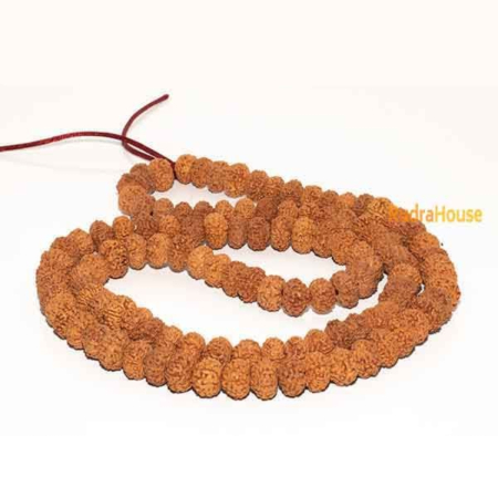 9 Mukhi Rudraksha Mala
