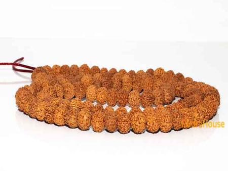9 Mukhi Rudraksha Mala