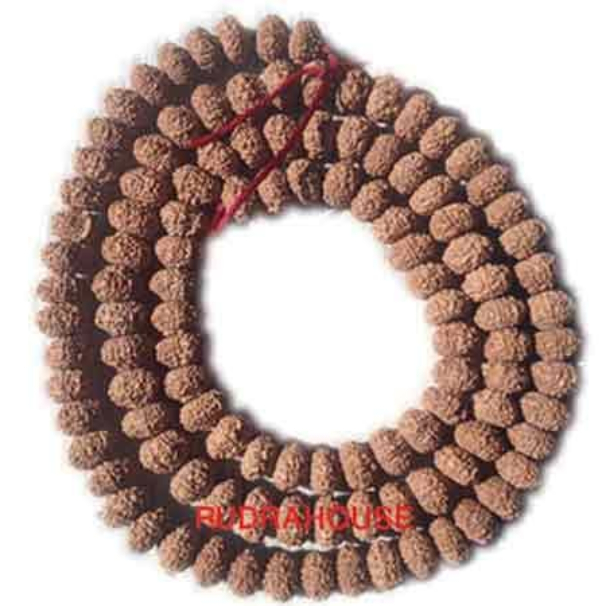 10 Mukhi Rudraksha Mala