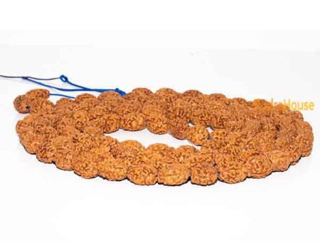3 Mukhi Rudraksha Mala