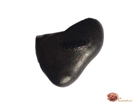 Matsya Shaligram