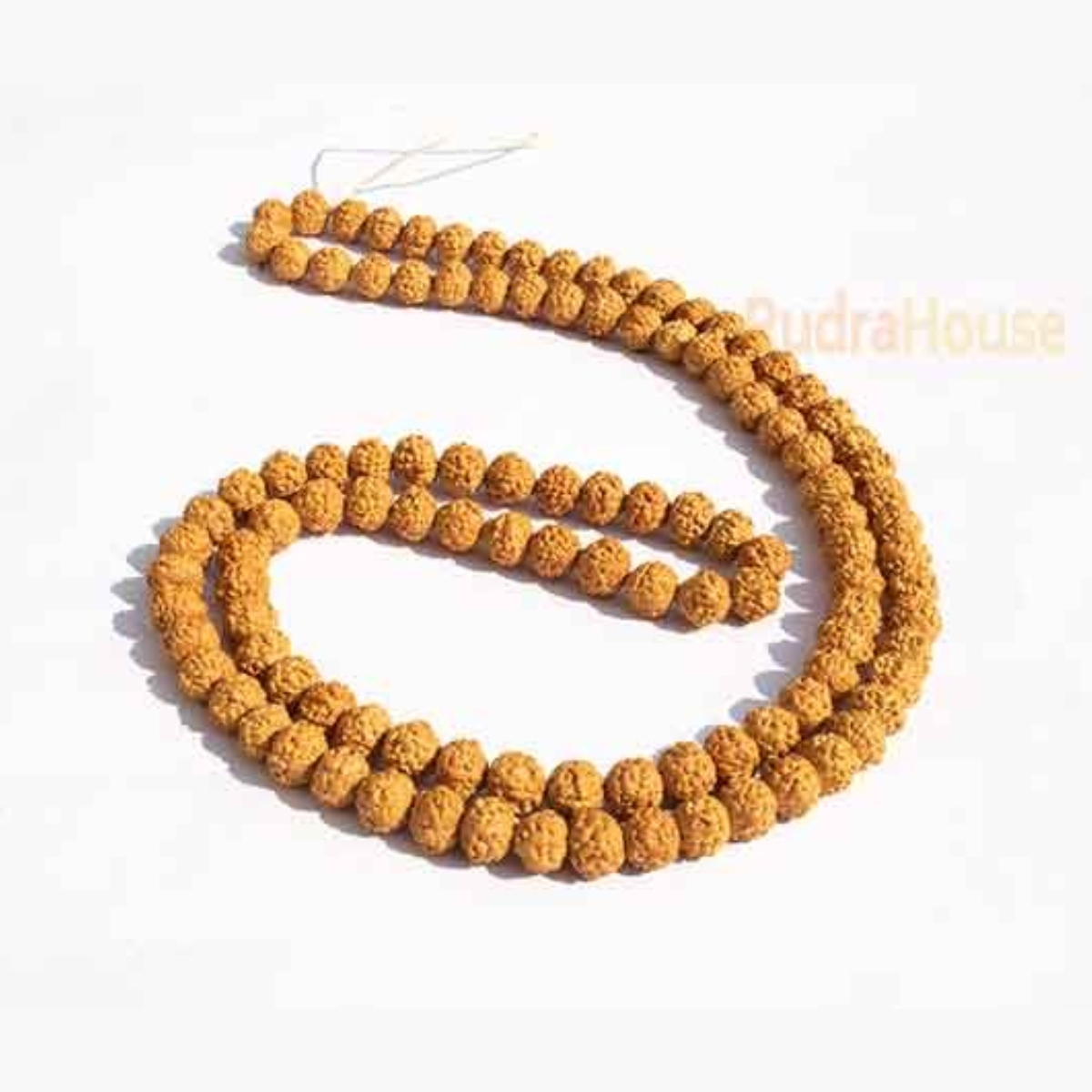5 Mukhi Rudraksha Mala
