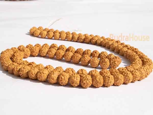 5 Mukhi Rudraksha Mala