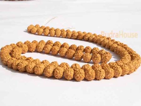 5 Mukhi Rudraksha Mala
