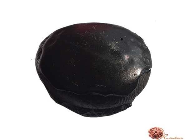 Narsimha Shaligram