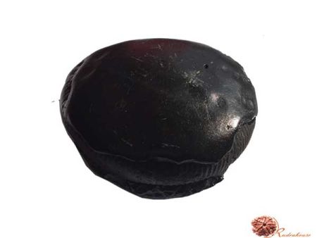 Narsimha Shaligram