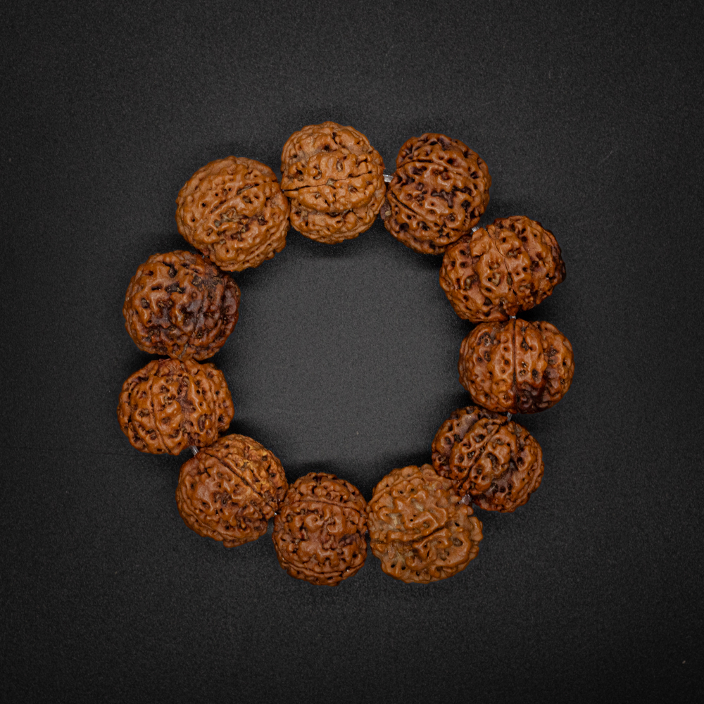 Nepal 5 Mukhi Rudraksha Bracelet