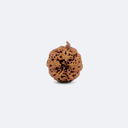 Nirakar Rudraksha with Ganesh