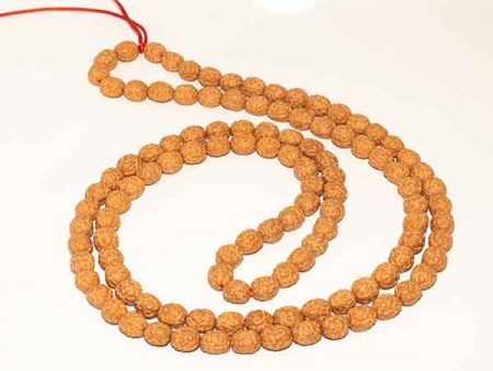 Pathri Rudraksha Mala