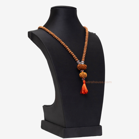 Rudraksha For Crown Chakra