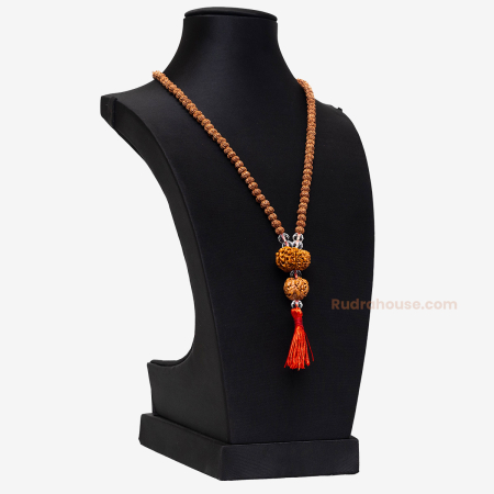 Rudraksha For Root Chakra