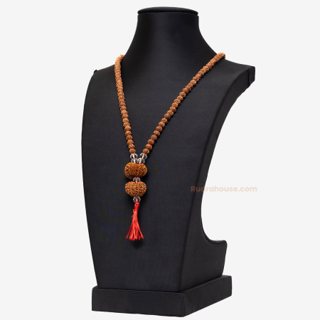 Rudraksha For Sacral Chakra