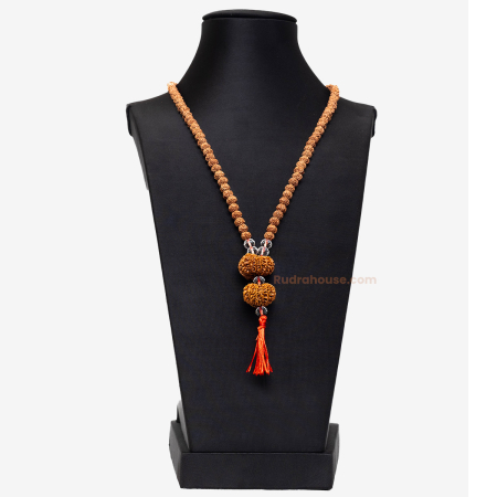 Rudraksha For Sacral Chakra