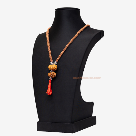 Rudraksha For Solar Plexus Chakra