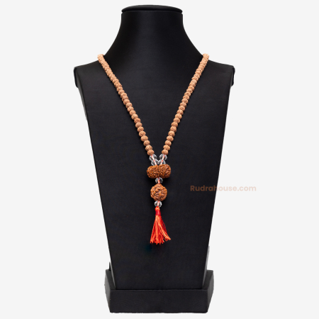 Rudraksha For Throat Chakra