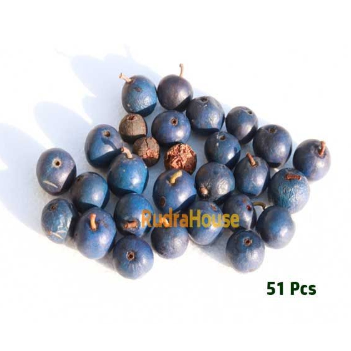 Rudraksha Fruits