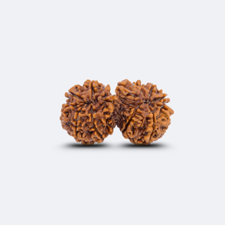 Gauri Shankar Ganesh Rudraksha