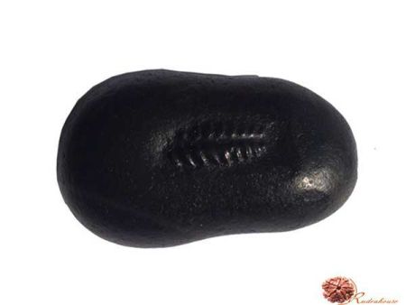 Trivikrama Shaligram