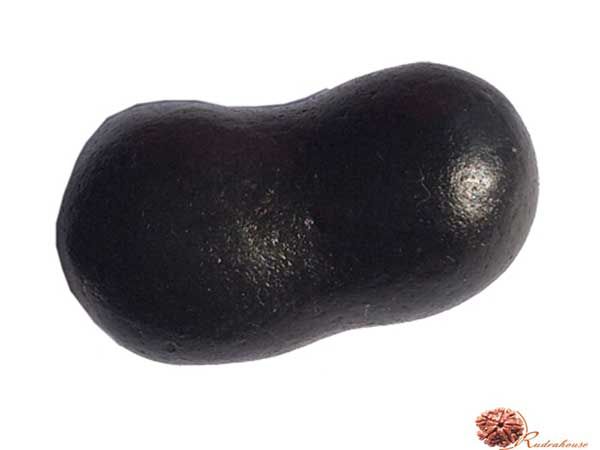 Krishna Paduka Shaligram