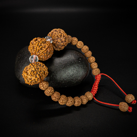 Rudraksha Bracelet Success
