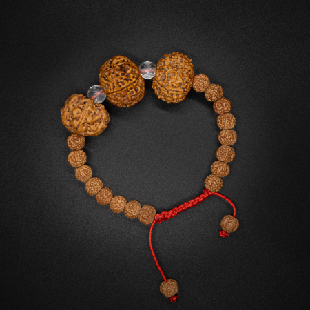 Rudraksha Bracelet Success