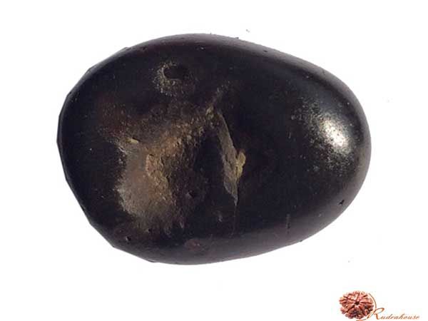 Varaha Shaligram