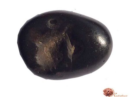 Varaha Shaligram