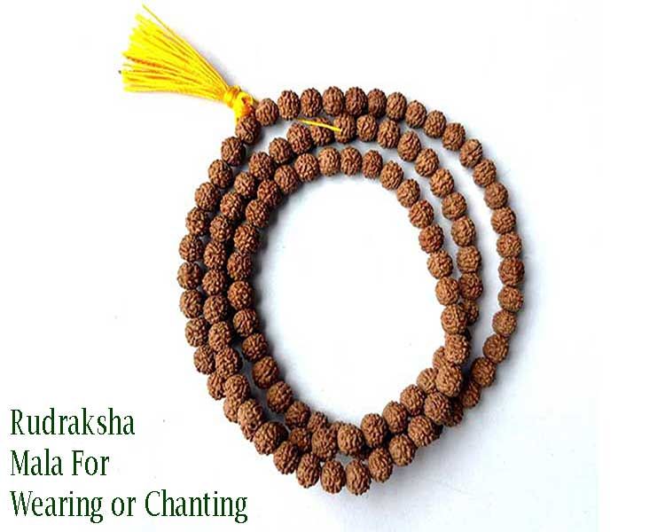 Wedding Ceremony Rudraksha Gift For Guest