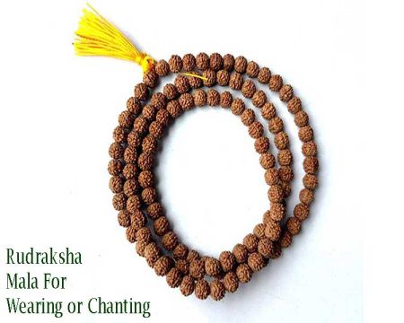 Wedding Ceremony Rudraksha Gift For Guest