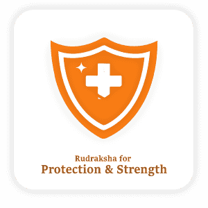 Protection & Strength